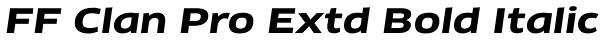 FF Clan Pro Extd Bold Italic Font