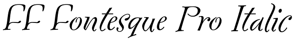 FF Fontesque Pro Italic Font