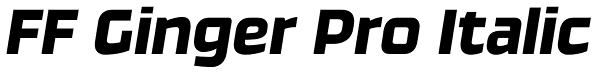 FF Ginger Pro Italic Font