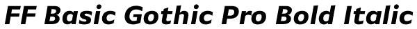 FF Basic Gothic Pro Bold Italic Font