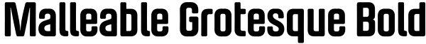 Malleable Grotesque Bold Font