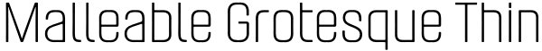 Malleable Grotesque Thin Font