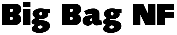 Big Bag NF Font