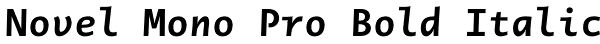 Novel Mono Pro Bold Italic Font