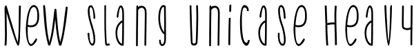 New Slang Unicase Heavy Font