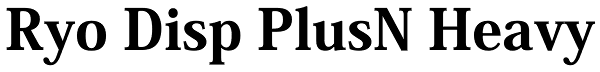 Ryo Disp PlusN Heavy Font