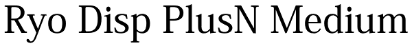 Ryo Disp PlusN Medium Font