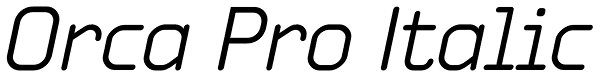 Orca Pro Italic Font