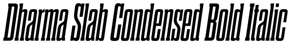 Dharma Slab Condensed Bold Italic Font