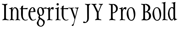 Integrity JY Pro Bold Font