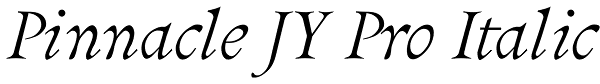 Pinnacle JY Pro Italic Font