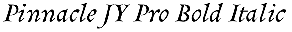 Pinnacle JY Pro Bold Italic Font