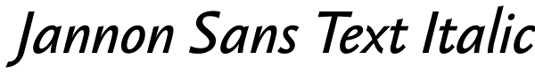 Jannon Sans Text Italic Font