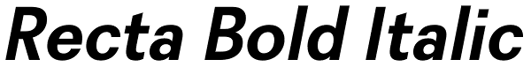 Recta Bold Italic Font