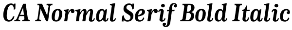 CA Normal Serif Bold Italic Font