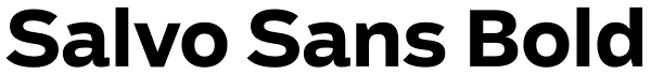 Salvo Sans Bold Font