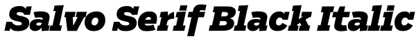 Salvo Serif Black Italic Font