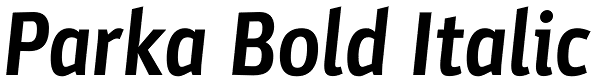 Parka Bold Italic Font