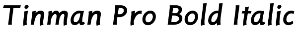 Tinman Pro Bold Italic Font