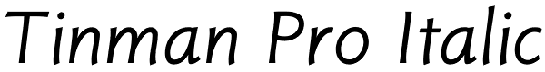 Tinman Pro Italic Font