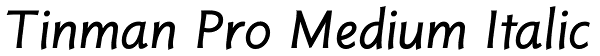 Tinman Pro Medium Italic Font