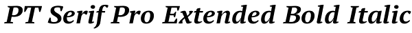 PT Serif Pro Extended Bold Italic Font