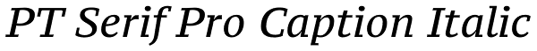 PT Serif Pro Caption Italic Font