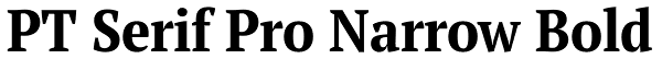 PT Serif Pro Narrow Bold Font