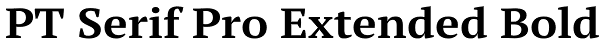 PT Serif Pro Extended Bold Font