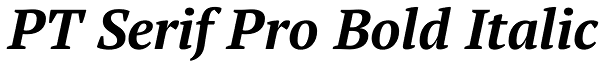 PT Serif Pro Bold Italic Font