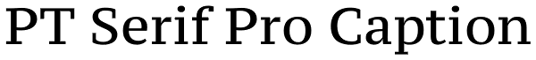 PT Serif Pro Caption Font