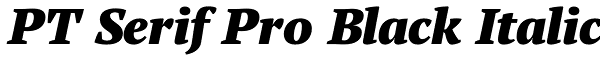 PT Serif Pro Black Italic Font