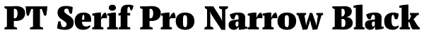 PT Serif Pro Narrow Black Font