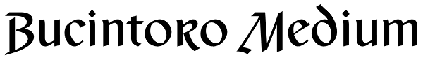 Bucintoro Medium Font