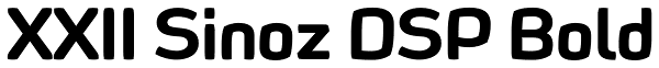 XXII Sinoz DSP Bold Font