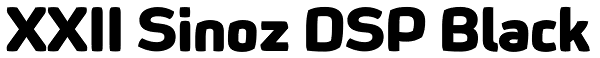 XXII Sinoz DSP Black Font