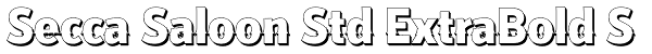 Secca Saloon Std ExtraBold S Font