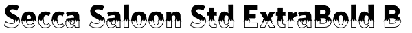 Secca Saloon Std ExtraBold B Font