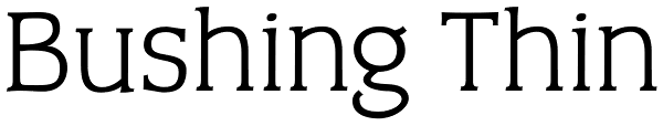 Bushing Thin Font