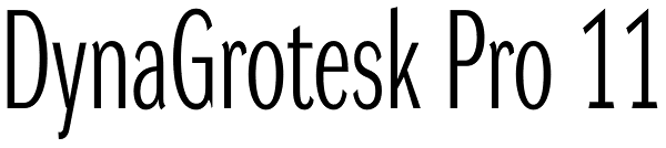 DynaGrotesk Pro 11 Font