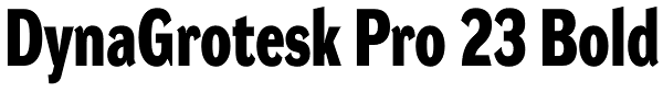 DynaGrotesk Pro 23 Bold Font