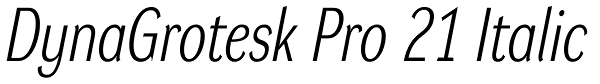 DynaGrotesk Pro 21 Italic Font