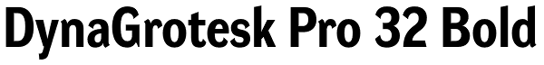 DynaGrotesk Pro 32 Bold Font