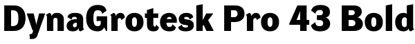 DynaGrotesk Pro 43 Bold Font