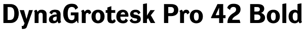 DynaGrotesk Pro 42 Bold Font