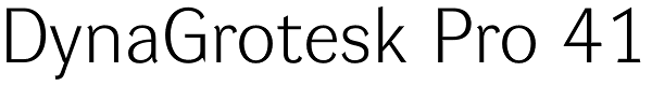 DynaGrotesk Pro 41 Font