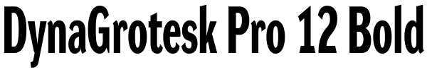 DynaGrotesk Pro 12 Bold Font