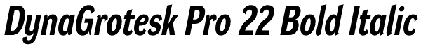 DynaGrotesk Pro 22 Bold Italic Font