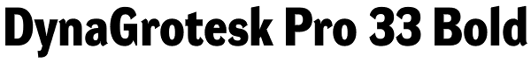 DynaGrotesk Pro 33 Bold Font