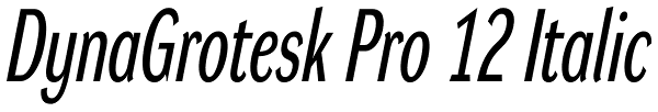 DynaGrotesk Pro 12 Italic Font